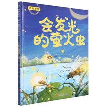 ���l���Ξ���x ����̽��-��Ȥ�Ą���ٿ� ���bӲ��ӲƤ�׃��@��