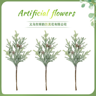 �}�Q�Z�����ɘ�֦������ᘎ��ɹ� �}�Q������ܛ�z�Ҿ��b�֦