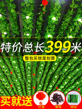 �ٻ��Gֲ��픾G�~�b��ٗl���������~�҃���픾G�}���~������