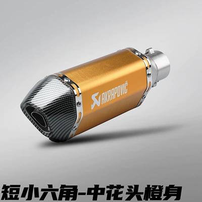 Motorcycle exhaust pipe: Bike Small Hexagonal Scorpio Exhaust - 300mm-short-style-small-hexagon-medium-flower-head-and-orange-body