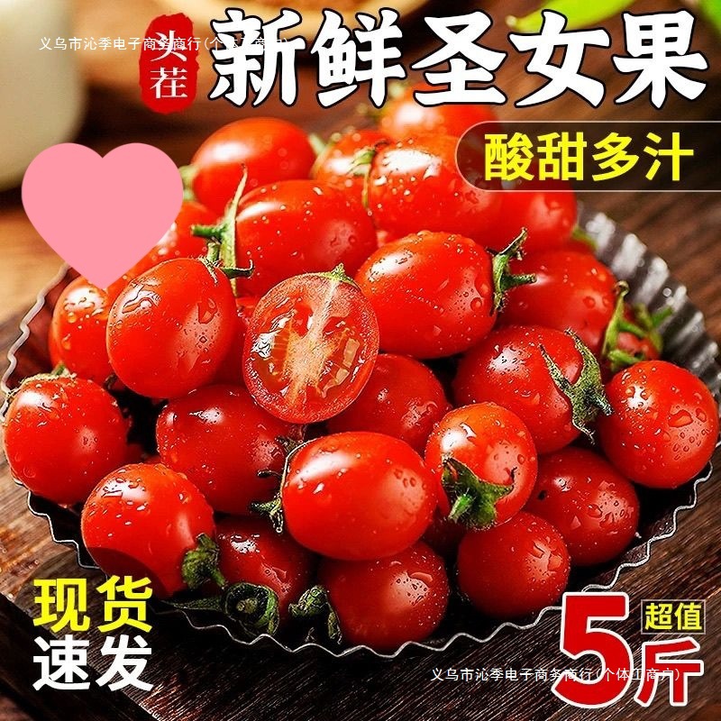 沁季云南圣女果小番茄蔬菜孕妇水果新鲜西红柿现摘非千禧整箱批发