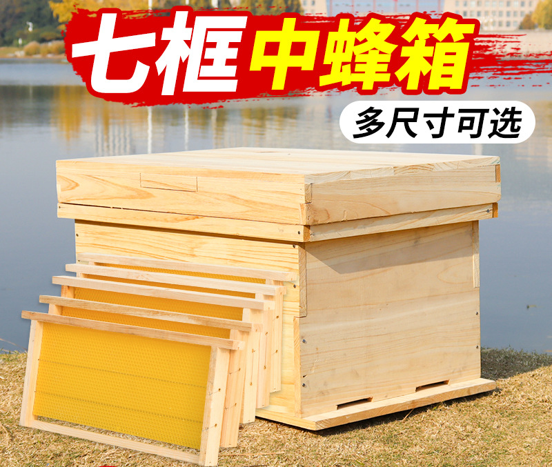 新款1.1厚蜂箱标准七框中蜂蜂箱全套杉木养蜂老式蜜蜂箱土养批发