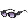 Fashionable sunglasses, brand glasses suitable for men and women, European style
