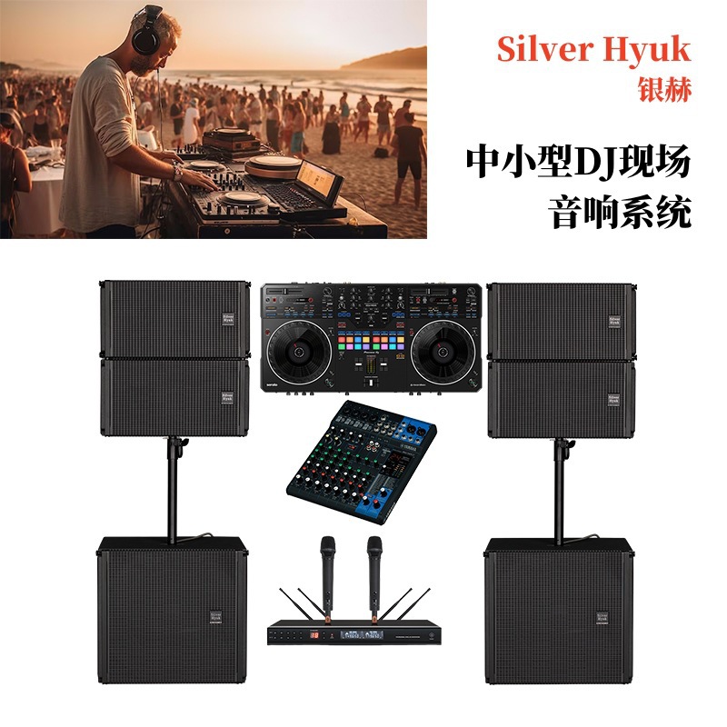 Sistema de sonido activo de la matriz de líneas de sonido del escenario, equipo de amplificación de sonido en vivo de DJ pequeño y mediano, conjunto de sonido de matriz de líneas
