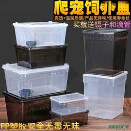 人渣盒爬虫箱螳螂跳蛛养蚕饲养盒爬行动物睫角寄居蟹饲养箱