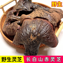 Ұ`֥Lɽ³`֥֥؛ˮݾ500