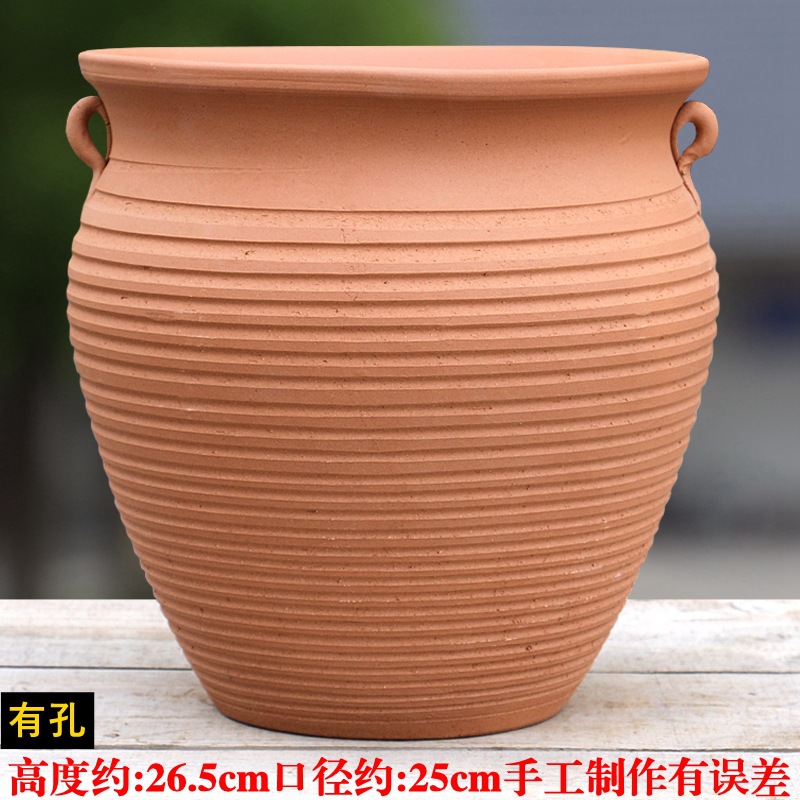 vasijas de cerámica de tierra absorción de agua, vasijas de cerámica transpirables, flores frescas, plantas verdes en el desierto, rosa, ciruela triangular, vasijas de cerámica de estilo retro