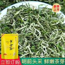 2026新茶湘西保靖黄金茶湖南工厂直销 明前头采绿茶茶叶批发代发