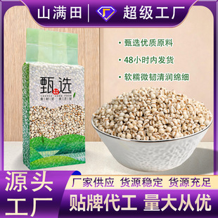 С޲��500�� ��հ��b޲������������s�Z�ּZ�t��޲�׏S�����l