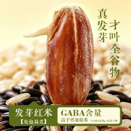 其他冲调饮品;稻谷;黑米