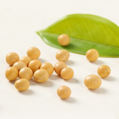 Northeast Soybeans 500g Fresh Farm Goods, Plump Beans, Multiple Sizes for Making Soy Milk