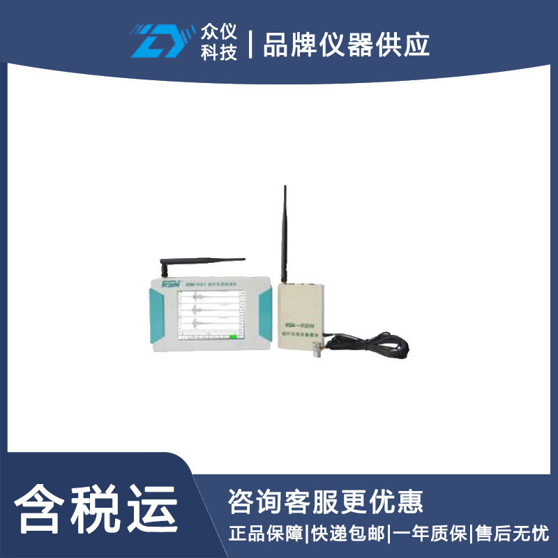 锚杆无损检测仪/锚杆质量检测仪 型号:RSM-RBT库号：D320325