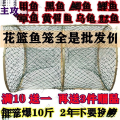 捕鱼笼花篮鲫鱼网笼黑鱼笼甲鱼笼捕渔网自动折叠抓鱼工具花蓝鱼笼