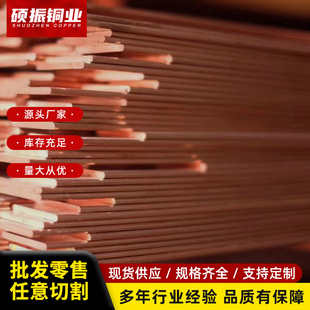 铜排T2,T3紫铜排板加工定 制镀锡镍打孔折弯切割机房母排接地汇-阿里巴巴