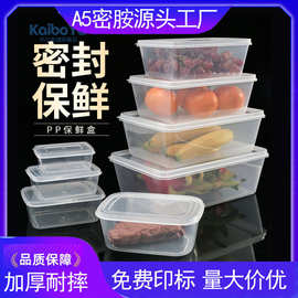 长方形冰箱保鲜盒pp塑料水果蔬菜保鲜盒子食品密封冷冻收纳盒批发