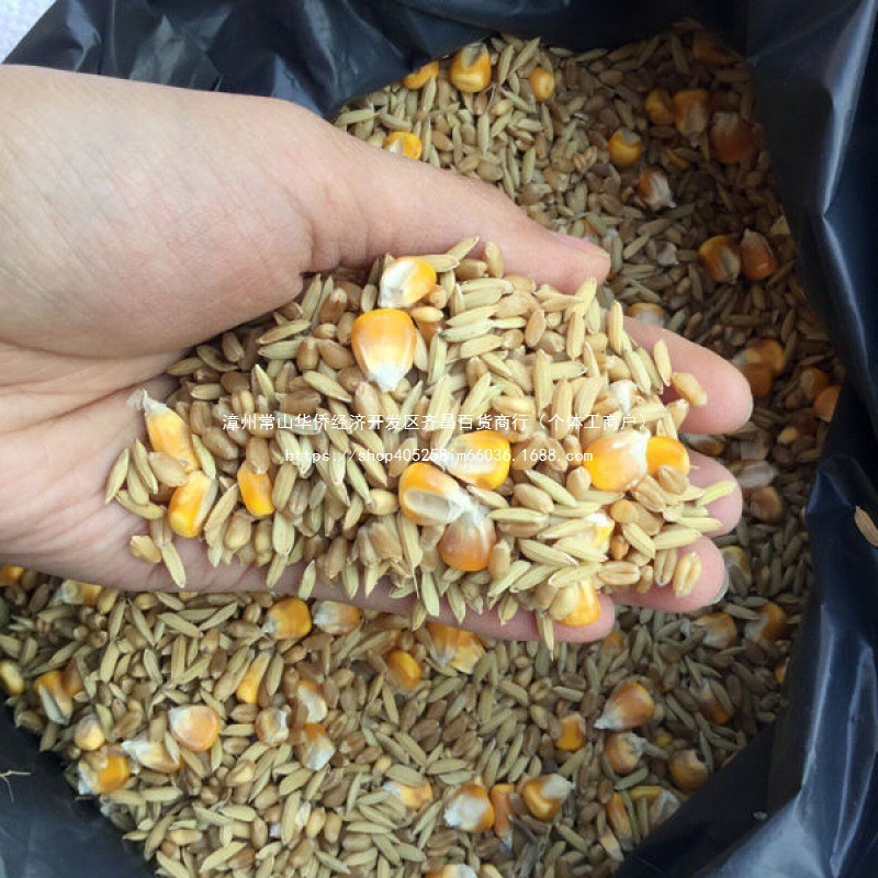 饲料50杂粮稻谷宠物鸽粮斤装籽其他玉米粒农家批发喂鸡垒德株中国