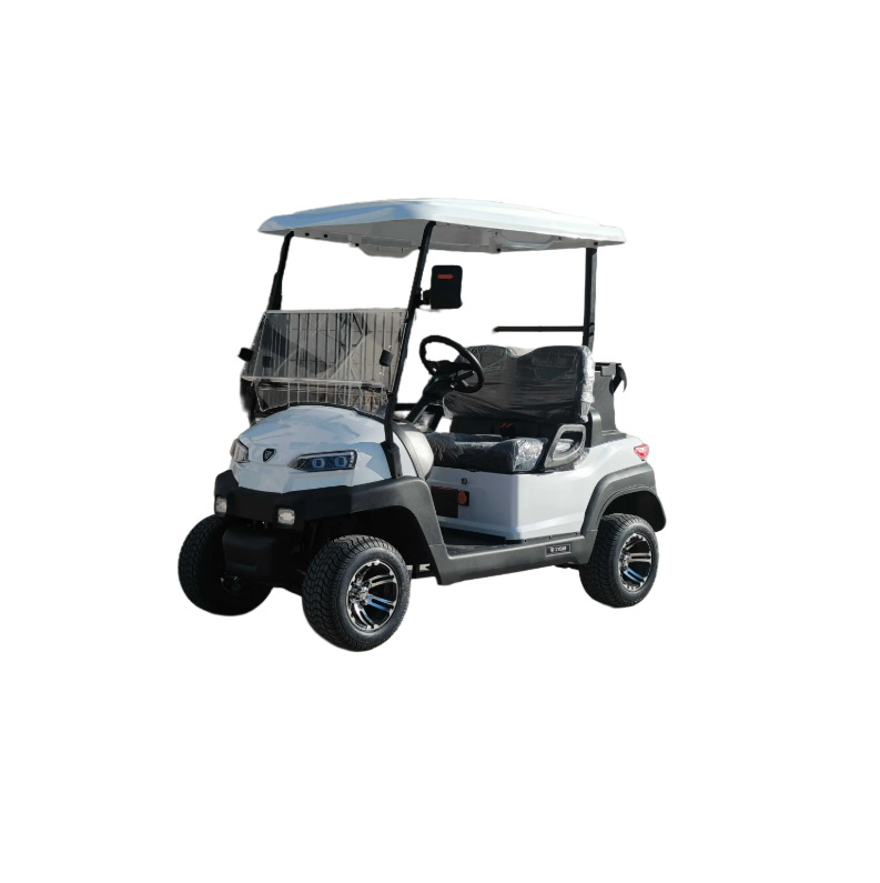 2025 New Electric Golf Cart, Strong Climbing Power, Stable Power, Anti-Slip Design in Rainy Days, a Must-Have for Players