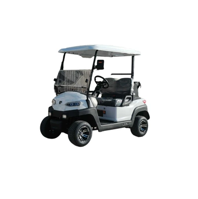 2025 New Electric Golf Cart, Elektrikli qolf avtomobilləri