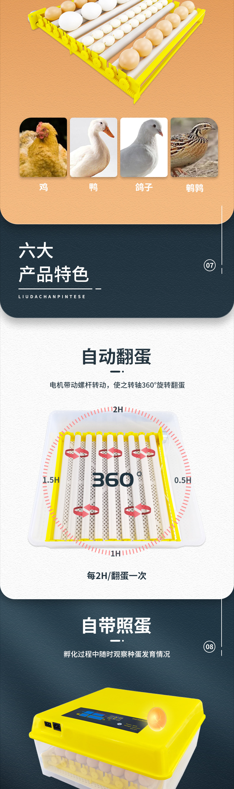 56枚双电源(滚轴蛋盘)-已修改_04