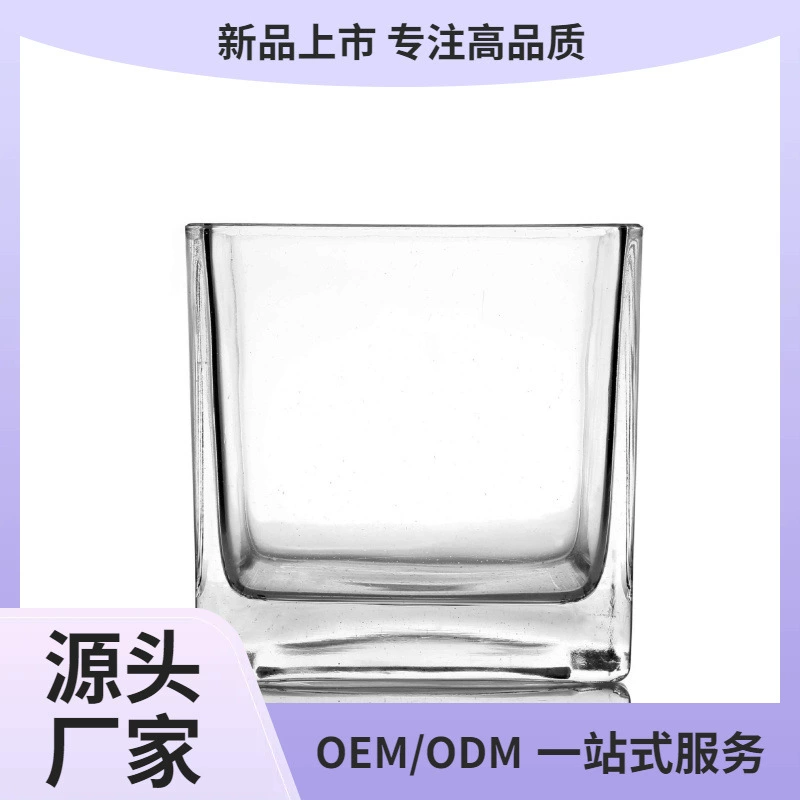 Прямые поставки с фабрики: вазы для суккулентов, оптовые квадратные стеклянные банки, изделия ручной работы, подарки для бонсай, индивидуальные микроландшафты.