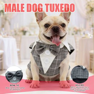 ���S���ƌ���Y�����b�����·����b��������ӌ������S����Y��