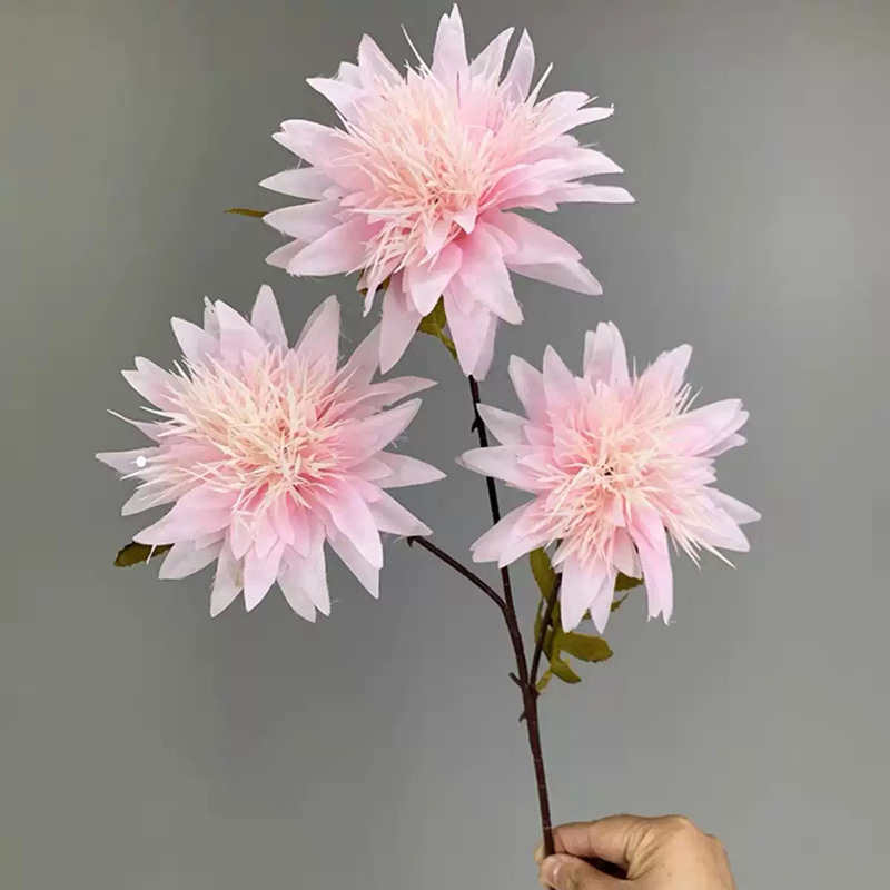 3등 아네모네 꽃 - 라이트 핑크