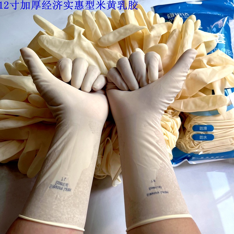 12 인치 두께의 베이지 색 라텍스 장갑 S 크기 50 pcs/bag