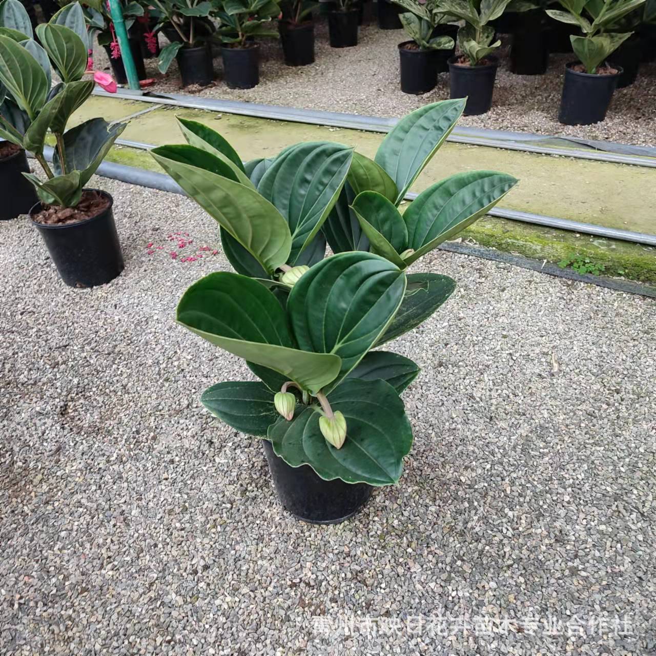 5e861f3d73ebe6df812d2043b7843a