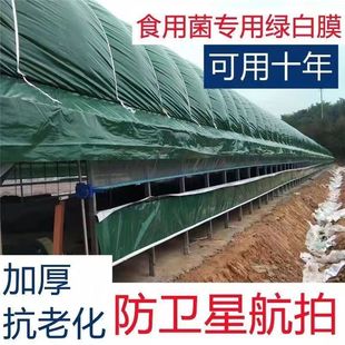 I Green and White Greenhouse Film Anti-Aerial Photography Sunshade and Heat Insulation Breeding Greenhouse Film Mushroom Edible Fungus Planting Greenhouse Plastic Film