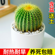 ������������ֲ��M�Ϻ������b�҃��k�����׃��@���B����С����