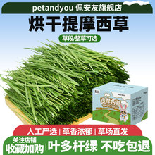 尲ѺĦݶθɲݱ؈miɲݼZ