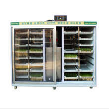 安徽商用豆芽机全自动大容量发黄豆芽绿豆芽机芽苗菜豆苗生苗机器
