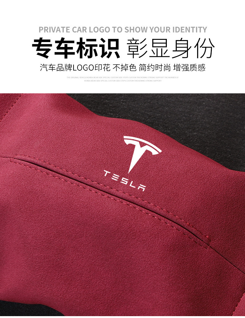 特斯拉 (8).jpg