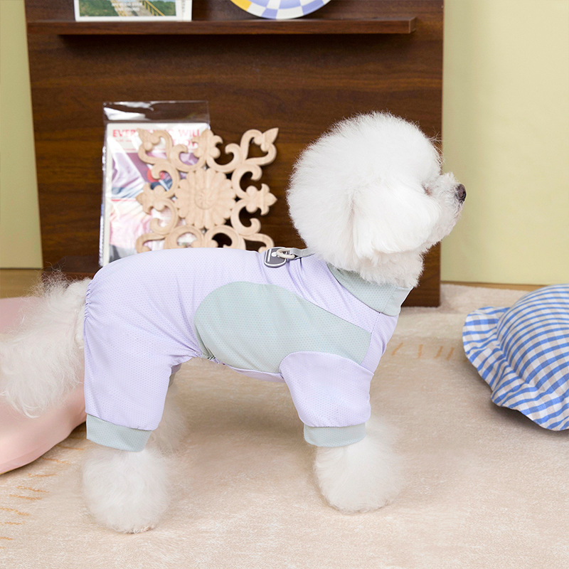 Perro de verano frío patas de impresión de piel marca de hielo de malla de cuatro patas abrigo frío al aire libre protección solar ropa de perro de mascota