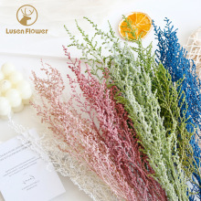 ձr@ϲ˲仨~ֹcY֦~DIY