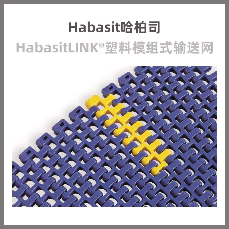 进口瑞士哈巴西HabasitLINK塑料模组式输送网果蔬物料螺旋输送带