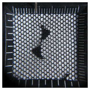 ܛ�ָ��\�������Y�c�c�W�۲������Wܛ�ָб���ͯ�b��ȹ�h���u�K�W