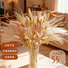 �羳�ɻ����������JȔ��β�ݷ��m��Ȕ�M�ϼҾ��b��滨�廨���b