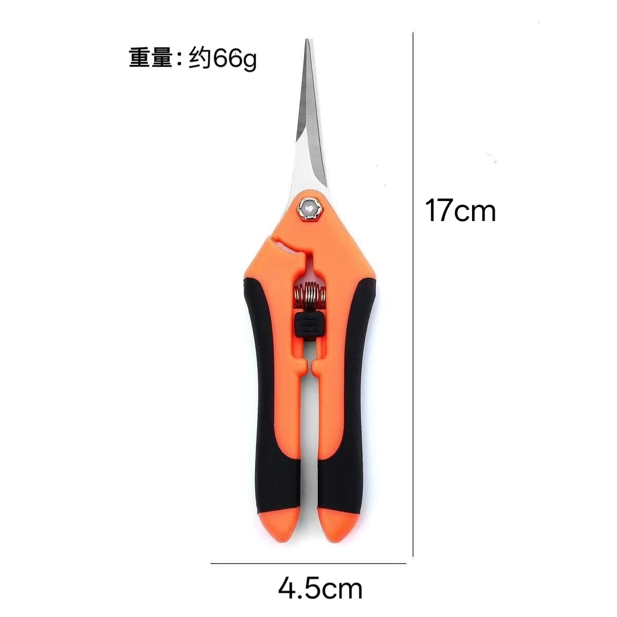 微信图片_20251225112007_340_1