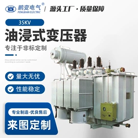配电变压器;电力变压器;油浸式变压器