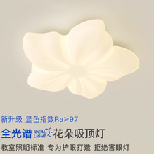 吸顶灯卧室灯北欧奶油风田园创意花朵儿童房间灯广东中山大厅灯具
