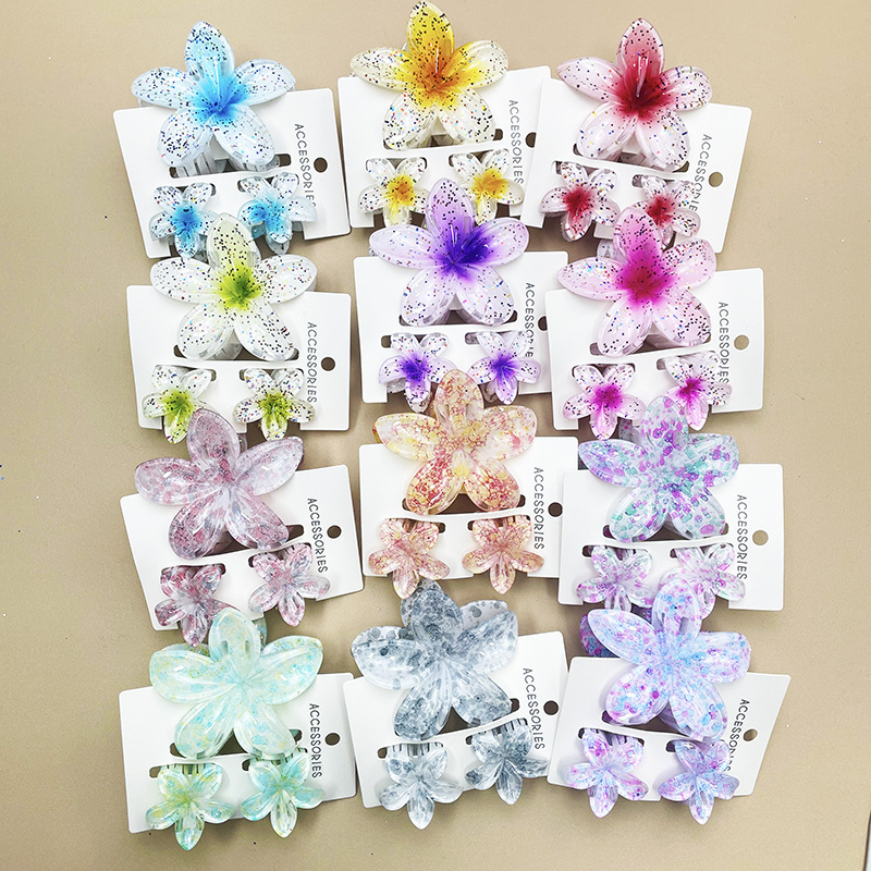 96g Weight Hair Claws Hair Accessories Type 1 Set Quantity Daily Occasion Plastic, Resin Material Plumeria Pattern All Seasons Season Women's Gender Stoving Varnish Design Cute Style Cute Women's Plumeria Plastic Resin Stoving Varnish Hair Claws 无