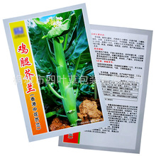 ӆuȽm۲z߲˷N߅XţƤĤ