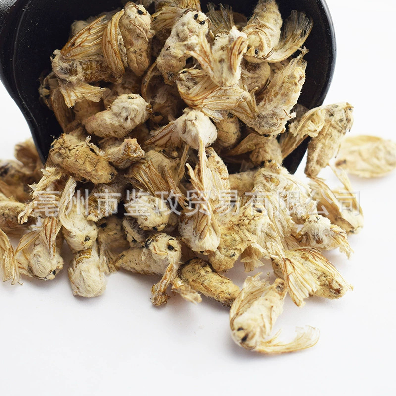 Dried Female Silkworm Moth Can Can E 500g Whole Insect Traditional Tonic Herb for Wine Infusion key features