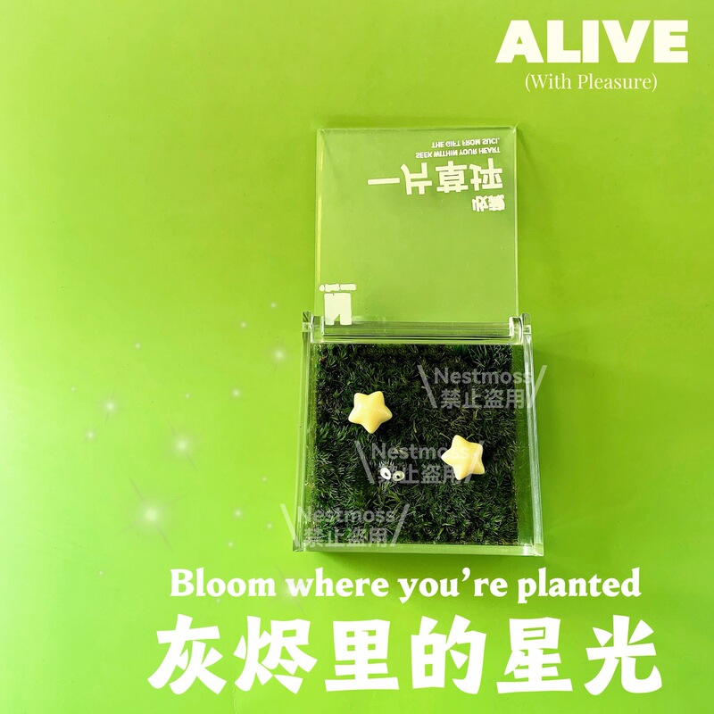 苔のマイクロランドスケープデスクトップワークステーション、怠け者のための楽しい装飾品、雰囲気のある牛と馬の減圧テーブルペット、飼いやすい|undefined