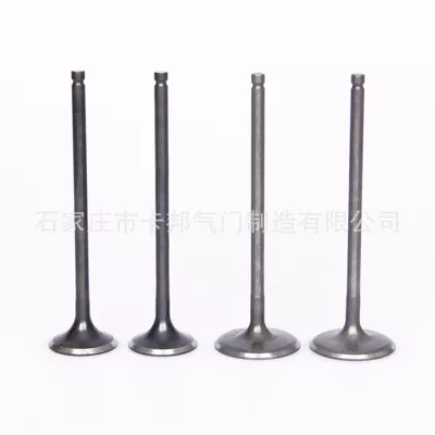 for Daewoo General – Yutong Valve components