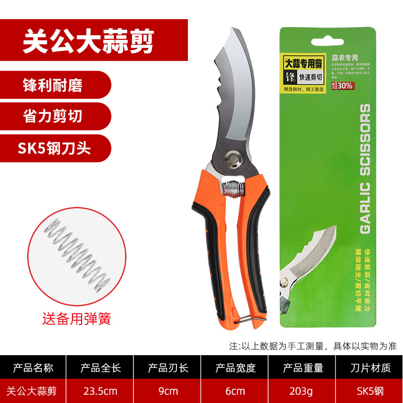 관공돈 [개당 100원]