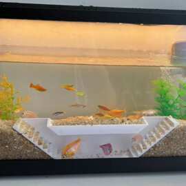 跨境新款水族馆双孔观鱼洞穴隧道鱼虾躲藏室水族箱装饰鱼缸造景