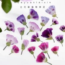 �Ŵ�С�ɻ�����diy�����L�����lֲ��˱�Ѻ���滨�羳�֙C��