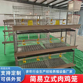 镀锌组装家用养殖场简易鸡笼A型养殖鸡笼三层四门白槽阶梯鸡笼子